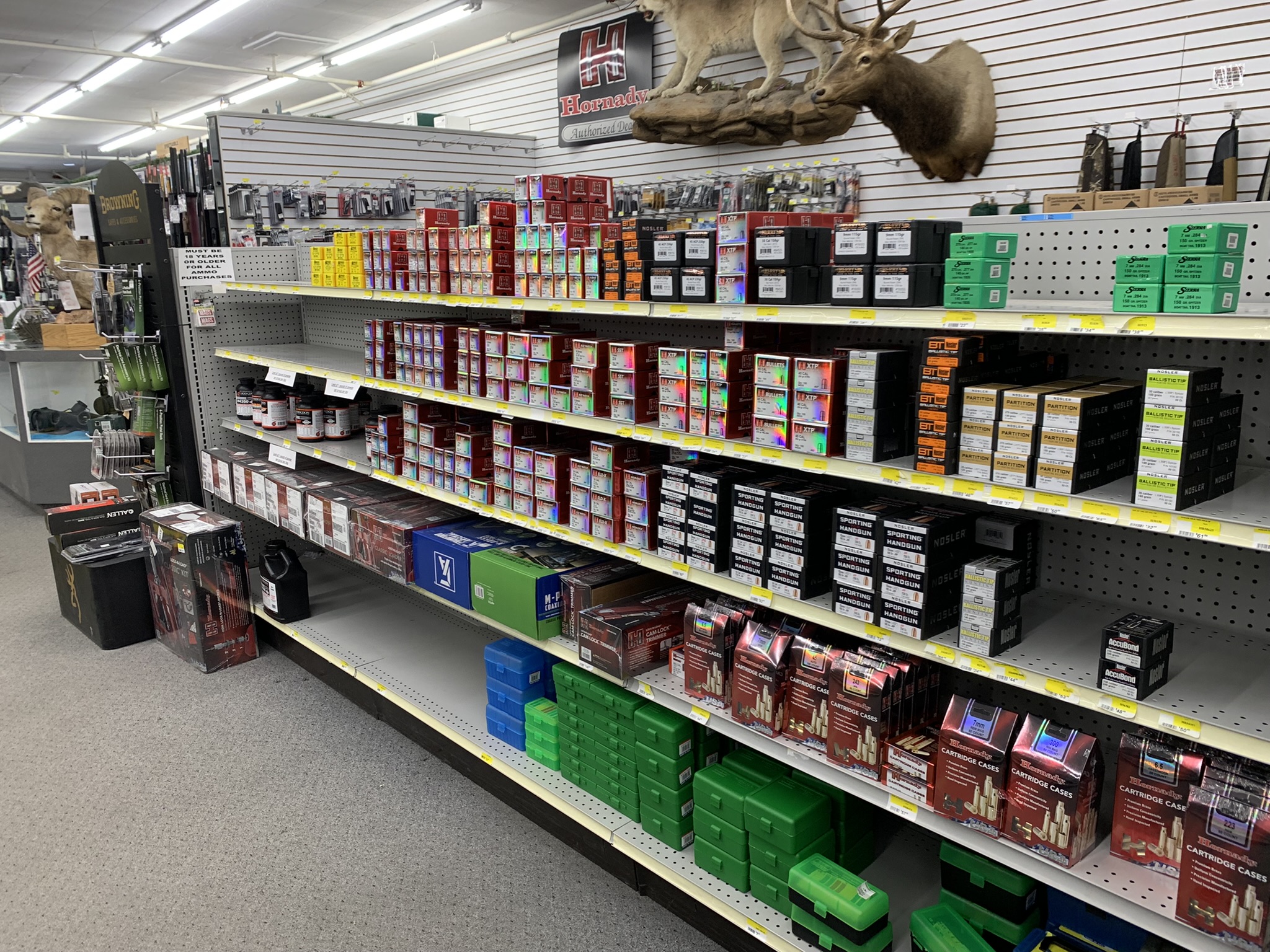 IMG_5673 Kids fishing gear Sportsworld Nevada